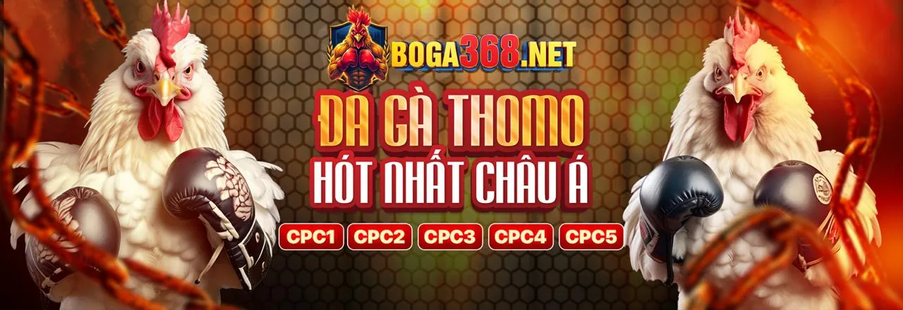 Đá gà trực tuyến Sumwin