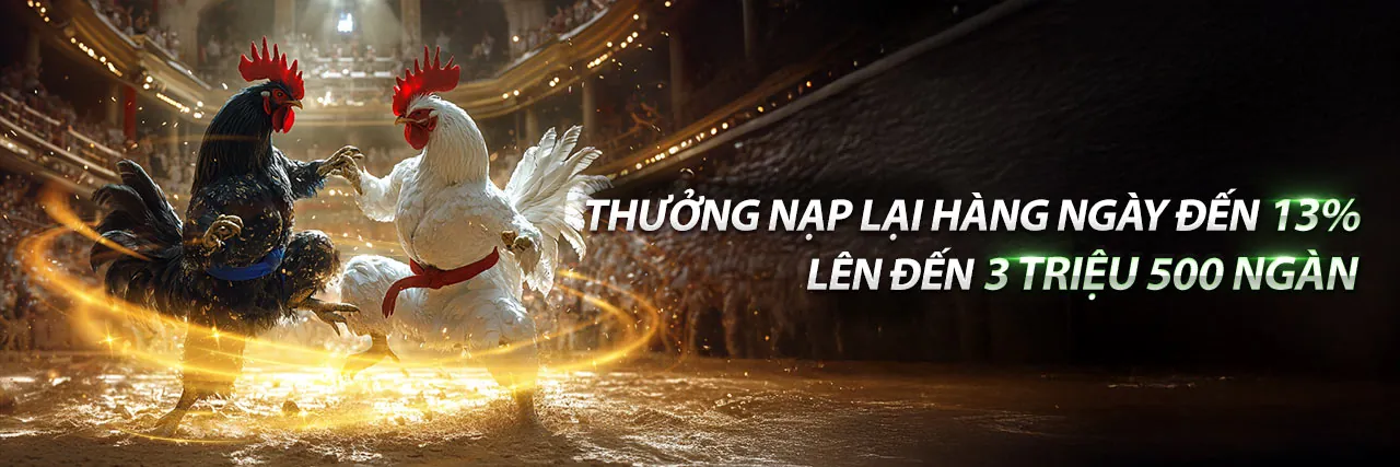 Đá Gà Thomo 29/8 Trực Tiếp
